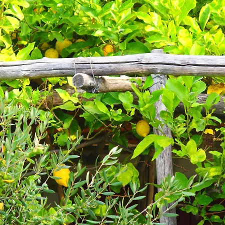 Giardino Sul Mare Lägenhet