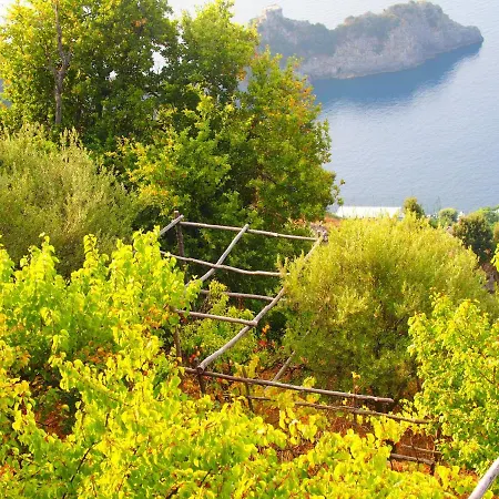Lägenhet Giardino Sul Mare Amalfi