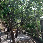 アパート Giardino Sul Mare