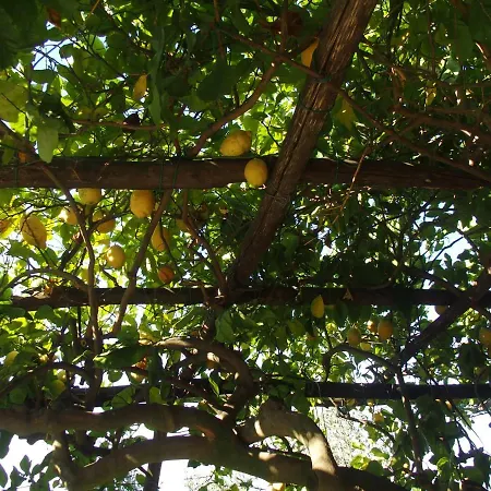 Giardino Sul Mare * アマルフィ